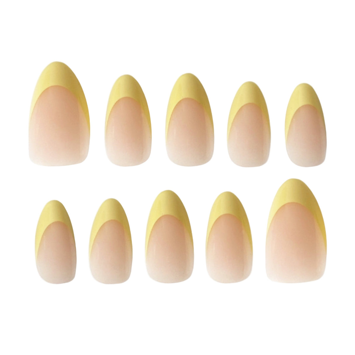 Buttercup Contour