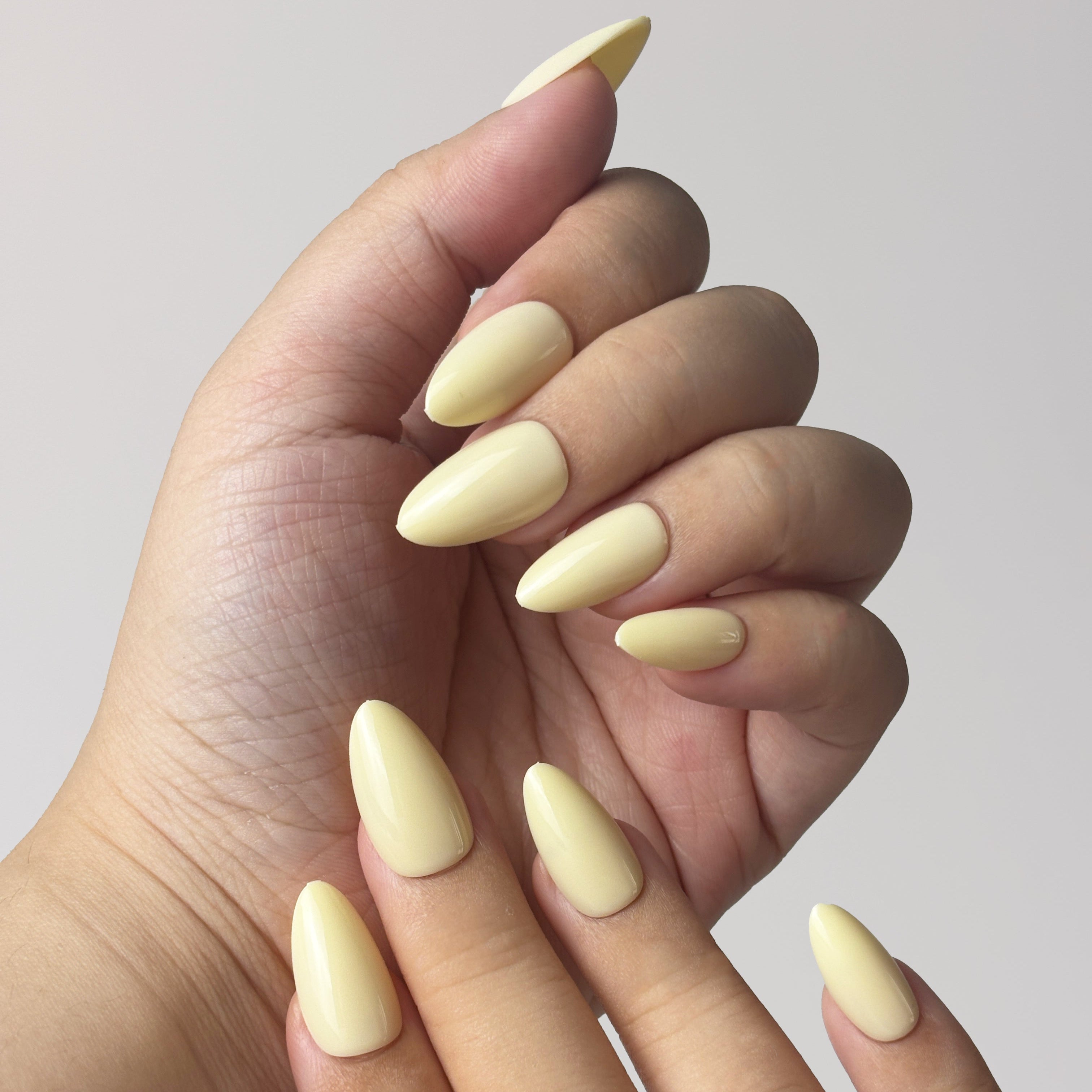 Lemon Chiffon