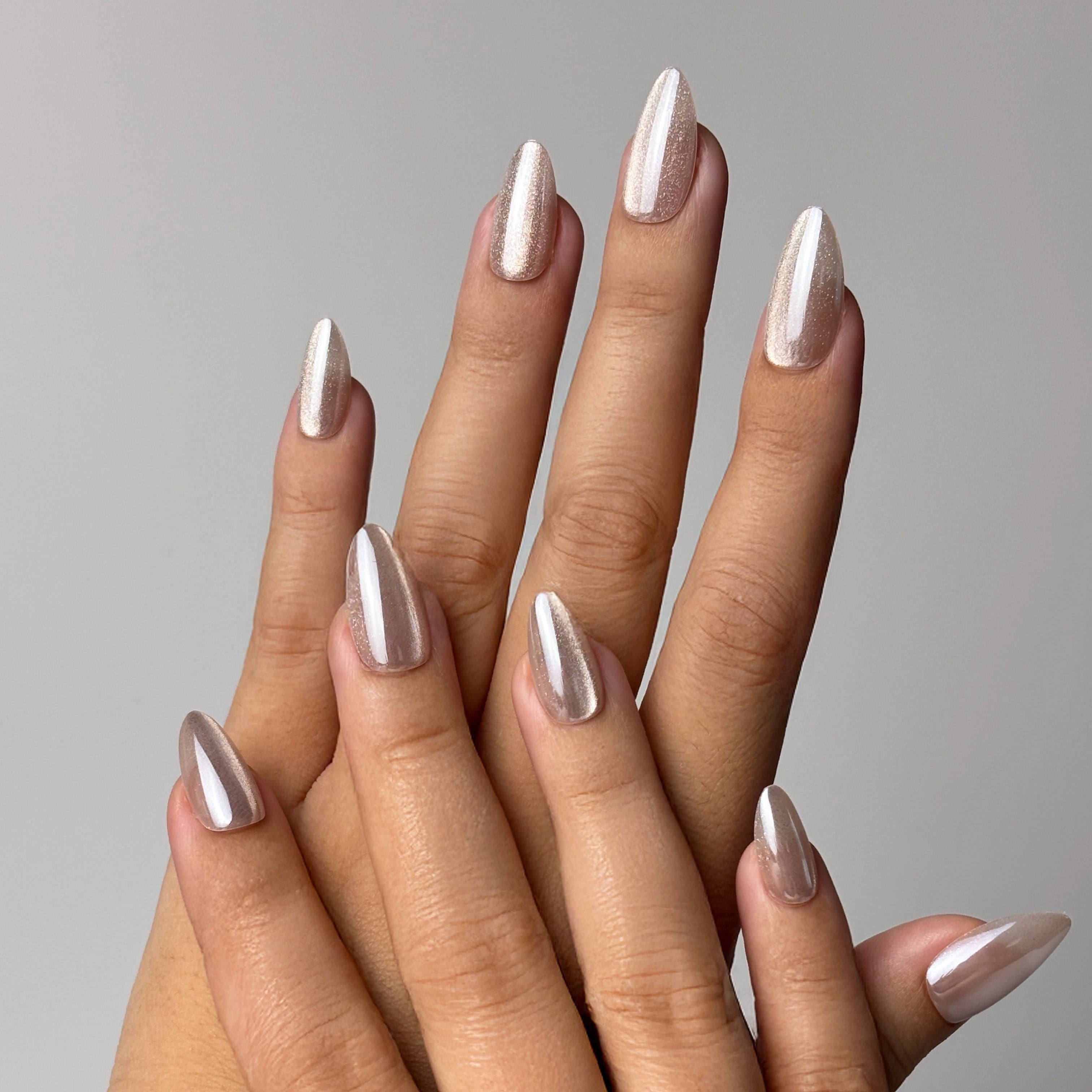 Pearly Shell