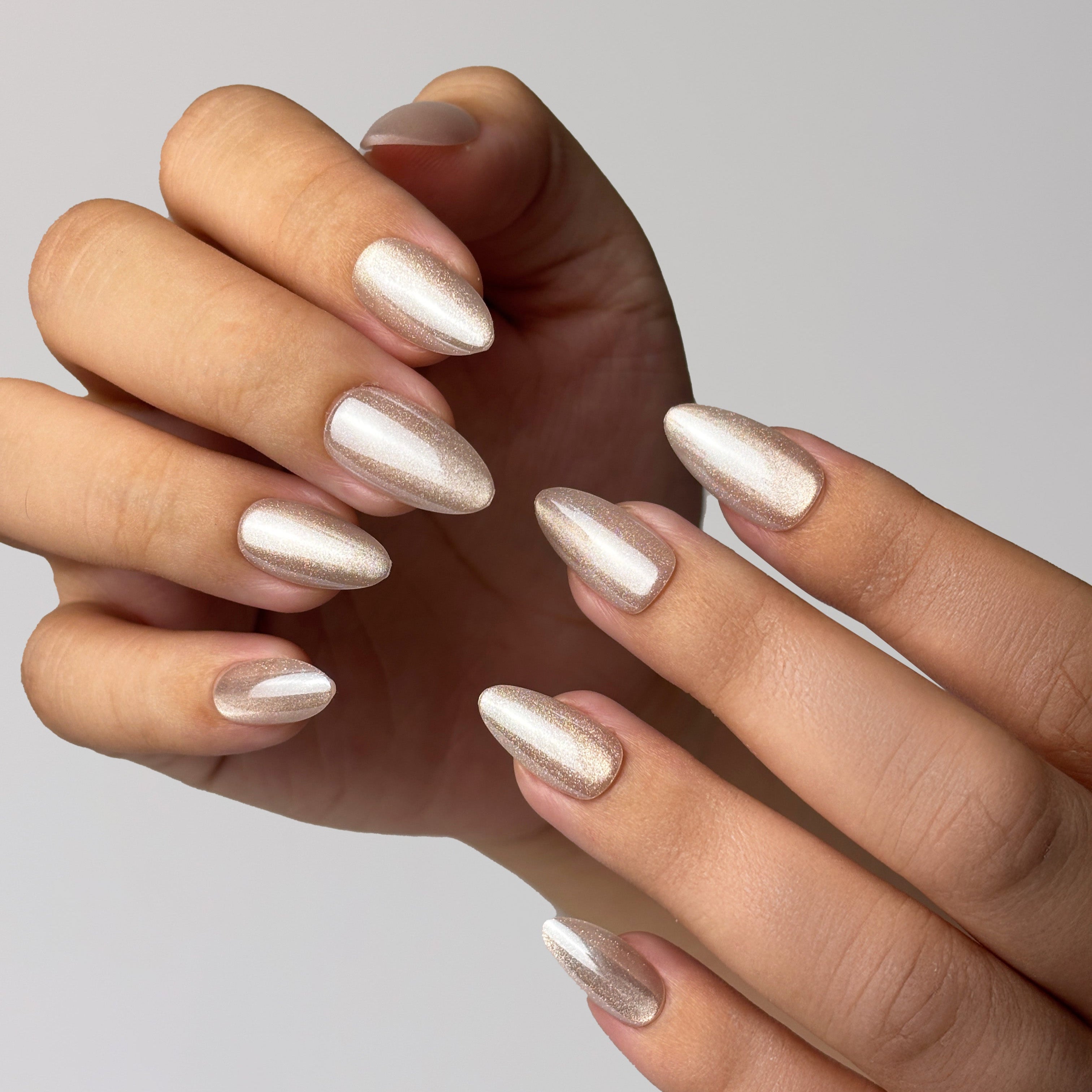 Pearly Shell